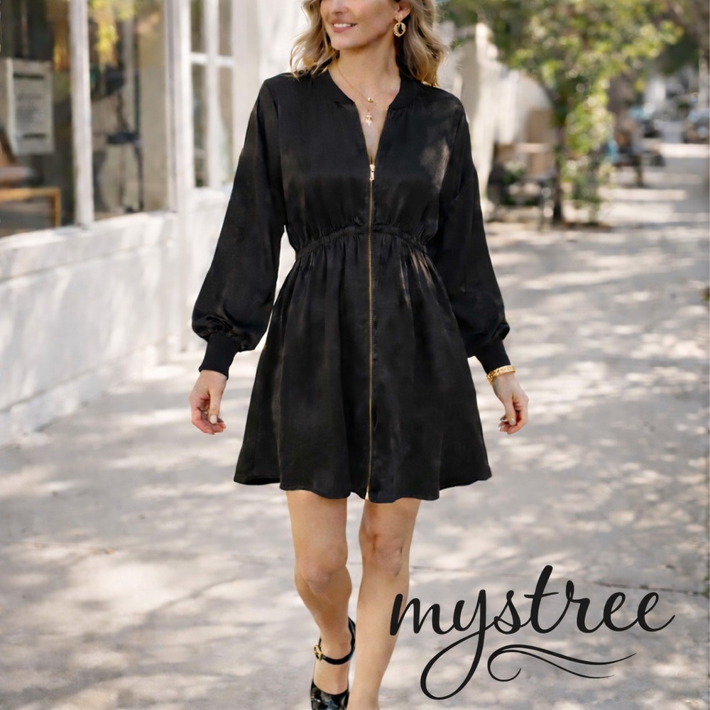 Y2K Mystree,Black Zip-Front,Long Sleeve Dress,Stretch,Empire Waist,EUC,  Size L